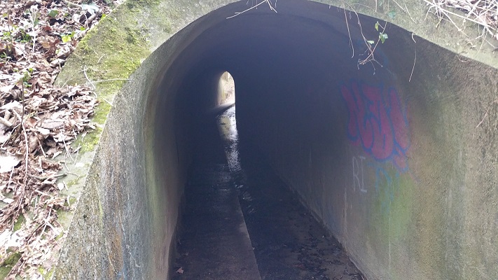 Wandelen over het Peerkepad in de voetsporen van Peerke Donders in tunneltje onder spoorlijn Geulle