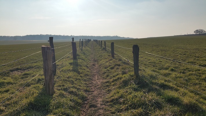 Glooiend pad in Groesbeek op een wandeling over het Pieterpad van Groesbeek naar Gennep