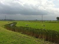 Groninger landschap op een etappe van het Pieterpad van Winsum naar Groningen
