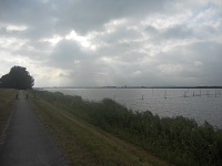 Nijkerkernauw op een wandeling over het Pionierspad van Lelystad naar Trekkersveld