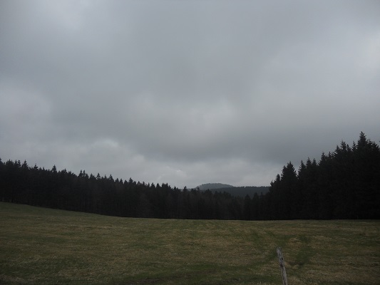 Bosgebied tijdens wandeling van Bahnhof Rennsteig naar Rondell op wandelreis in Thüringen in Duitsland