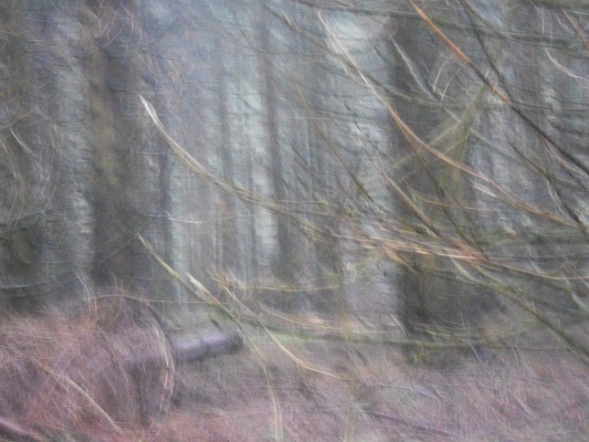 Mysterieuze bossen tijdens wandeling over de Rennsteig van Nesselberg naar Grenzadler op wandelreis in Thüringen in Duitsland