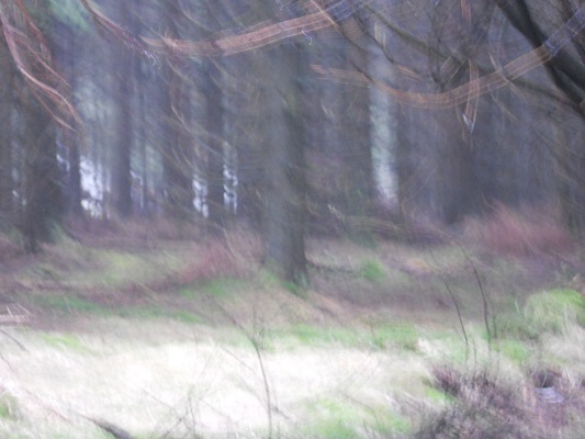 Mysterieuze bossen tijdens wandeling over de Rennsteig van Nesselberg naar Grenzadler op wandelreis in Thüringen in Duitsland