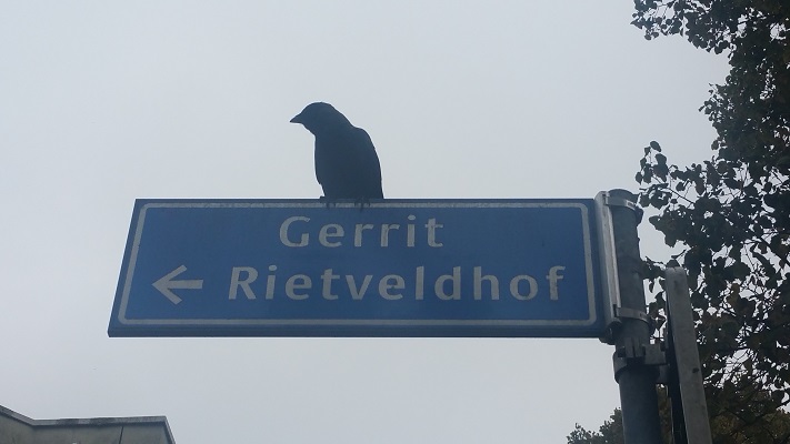 Gerrit Rietveldhof tijdens Gerrit Rietveld wandelroute in Utrecht