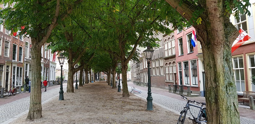 Wandelen over het Romeinse Limespad onder bomenlaan in Leiden