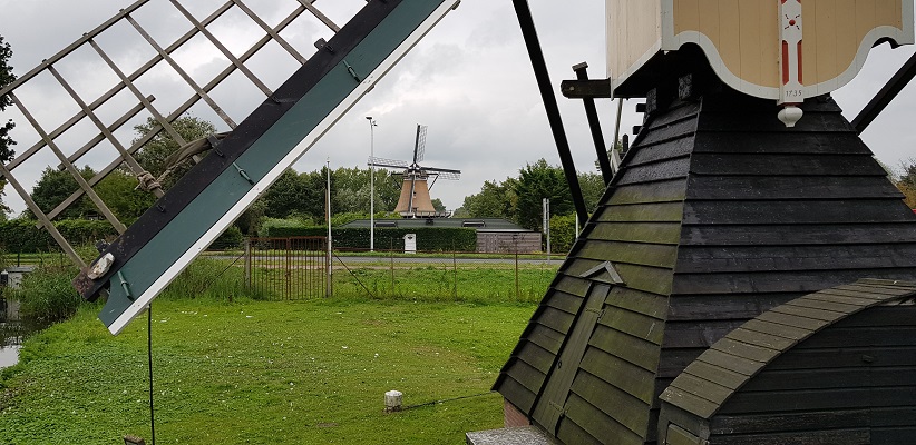 Wandelen over het Romeinse Limespad bij molens in Leiden
