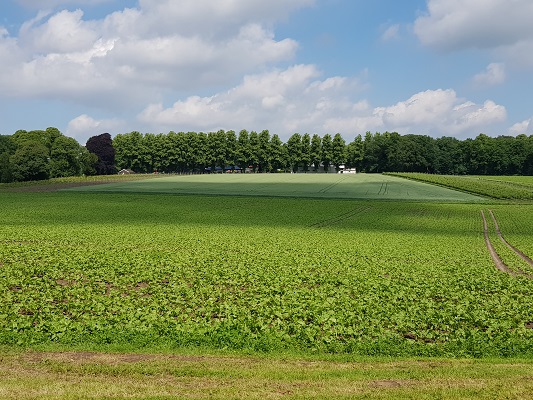 Wandelen over het Romeinse Limespad in Berg en Dal