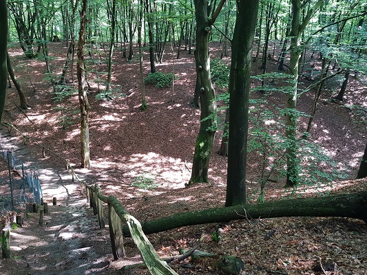Wandelen over het Romeinse Limespad bij Heilig Landstichting Nijmegen