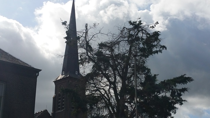 Kerk Liempde tijdens een wandeling van Liempde naar Schijndel over het Roots Natuurpad