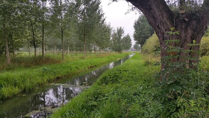 Beek Wijboschbroek op wandeling over het Roots Natuurpad van Schijndel naar Veghel