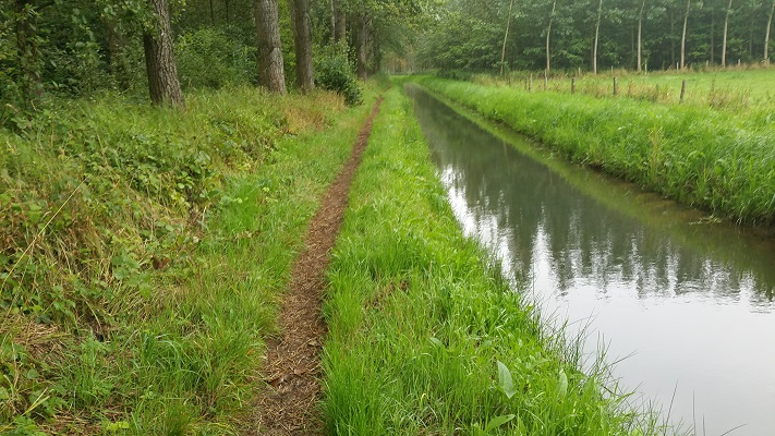 Pad langs beek Houterd op wandeling over het Roots Natuurpad van Schijndel naar Veghel