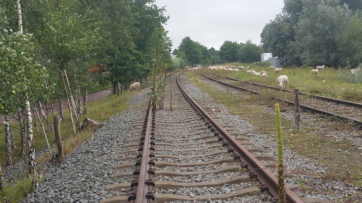 Voormalige spoorlijn Duits Lijntje op wandeling over het Roots Natuurpad van Schijndel naar Veghel