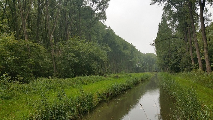 Biezenloop op wandeling over het Roots Natuurpad van Schijndel naar Veghel