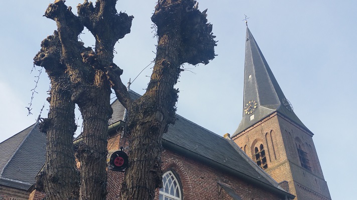 Kerk Wijhe op een wandeling over het Roots Natuurpad van Wijhe naar Heerde