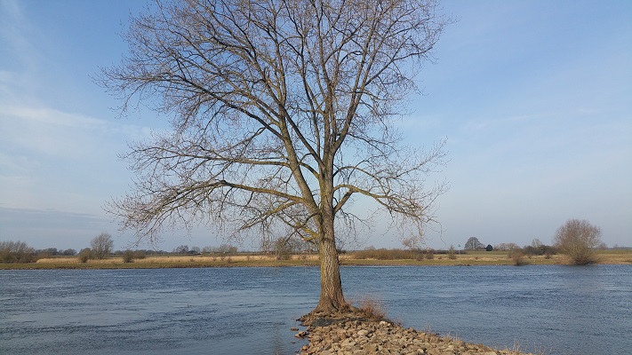 De IJssel op een wandeling over het Roots Natuurpad van Wijhe naar Heerde