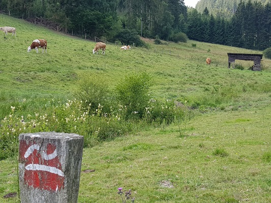 Beekdal met markering op wandeling van Brilon naar Olsberg tijdens wandelreis over Rothaarsteige in Sauerland in Duitsland