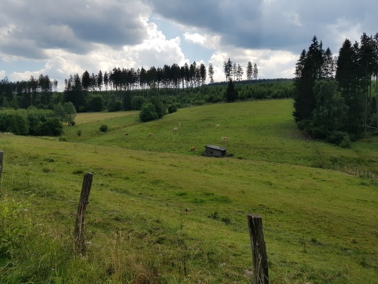 Beekdal op wandeling van Brilon naar Olsberg tijdens wandelreis over Rothaarsteige in Sauerland in Duitsland