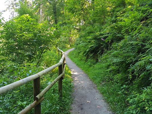 Wandelpad op wandeling van Brilon naar Olsberg tijdens wandelreis over Rothaarsteige in Sauerland in Duitsland