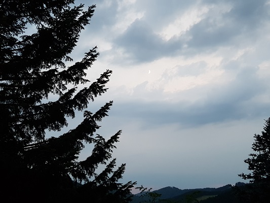 Maan tijdens wandeling van Jaghaus naar Thein-Weser-Turm op wandelreis over Rothaarsteige in Sauerland in Duitsland