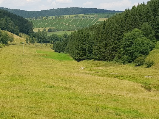 Landschap met wijngaarden tijdens wandeling van Kahler Asten naar de Hoheleyehutte over de Rothaarsteige in Sauerland in Duitsland