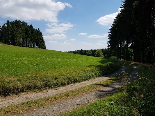 Wandelweg aan bosrand tijdens wandeling van Willingen naar Usseln op wandelreis over Rothaarsteige in Sauerland in Duitsland