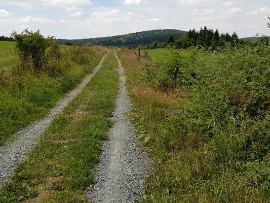 Landweg tijdens wandeling van Willingen naar Usseln op wandelreis over Rothaarsteige in Sauerland in Duitsland