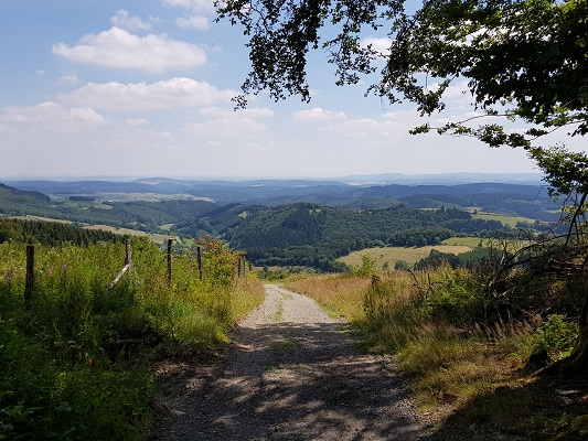 Landweg tijdens wandeling van Willingen naar Usseln op wandelreis over Rothaarsteige in Sauerland in Duitsland