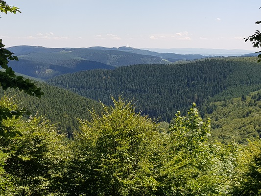 Zicht over boshellingen op wandeling van Winterberg naar Kahler Asten tijdens wandelreis over Rothaarsteige in Sauerland in Duitsland