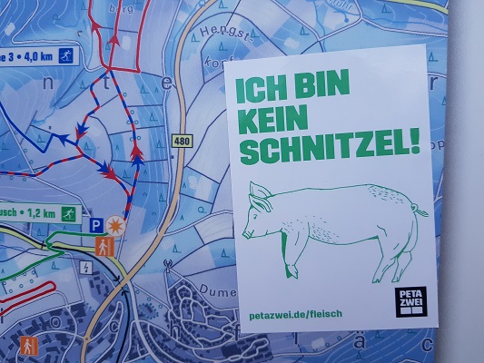 'Ich bin kein schnitzel' op wandeling van Winterberg naar Kahler Asten tijdens wandelreis over Rothaarsteige in Sauerland in Duitsland