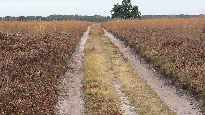 Goois Natuurreservaat Hilversum op wandeling over het Trekvogelpad van Hilversum naar Weesp