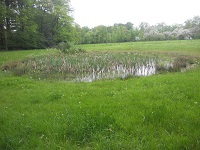 Egheria Oldenzaal op wandeling over Twentepad van Oldenzaal naar De Hooge Lutte