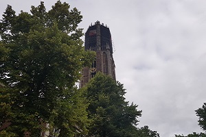 Domtoren Utrecht tijdens wandeling over het Utrechtpad