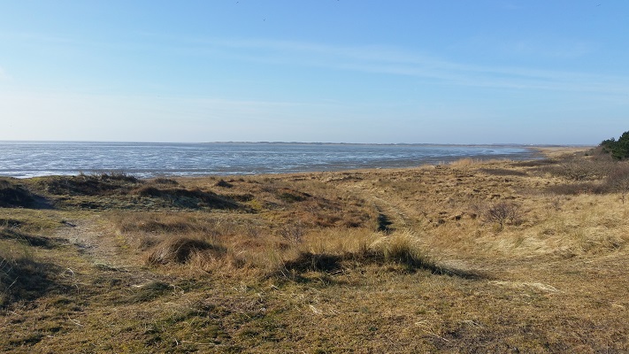 Duinen en zicht op Noordzee op wandeling WaddenWandelen in een rondje over West-Vlieland
