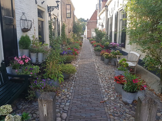 Wandelen over het Westerborkpad van 't Harde naar Elburg bij bloemrijke straat in Elburg