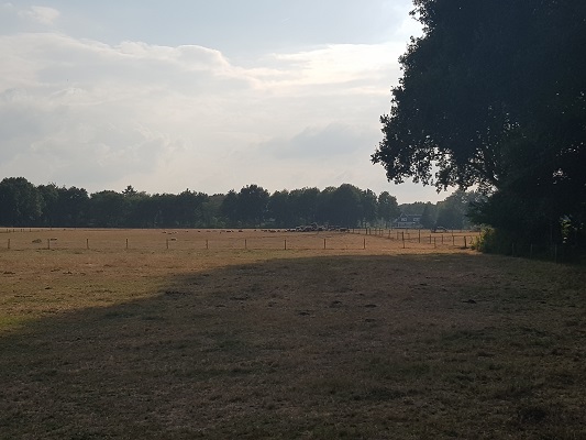 Wandelen over het Westerborkpad van 't Harde naar Elburg bij De Hoge Enk