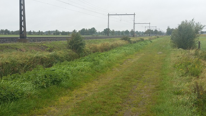 Wandelen over het Westerborkpad langs spoorlijn Zwolle-Meppel