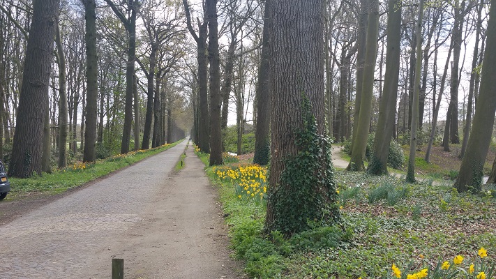 Wandelen over het Westerborkpad bij landgoed Oldenaller in Nijkerk