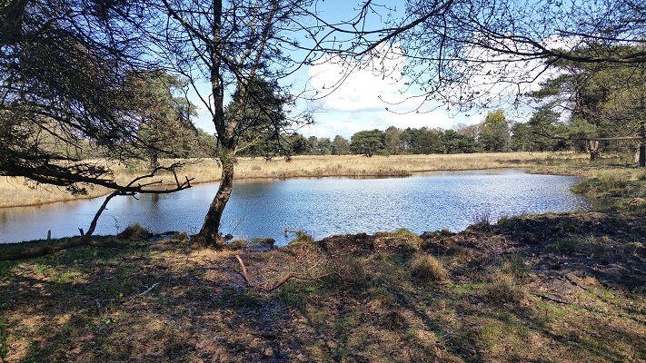 Wandelen over het Westerborkpad bij landgoed Oldenaller in Nijkerk