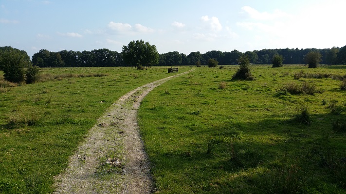Westerwoldepad-Ommetje-21-5 Winseleg richting Ruiten Aa tijdens wandeling over Ommetje over Westerwoldepad
