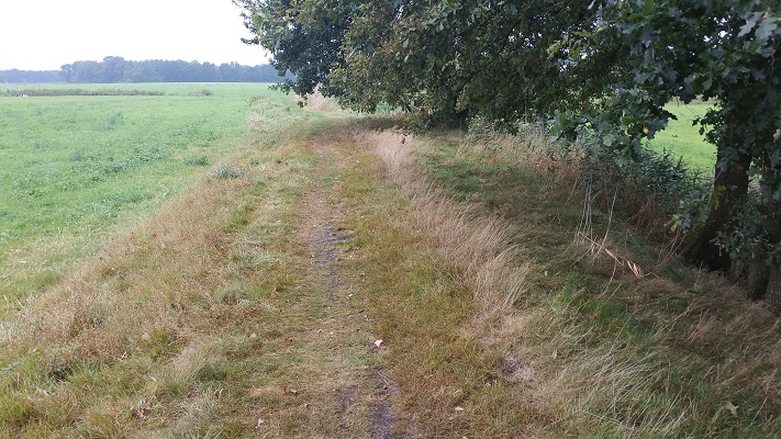 Karel Schenkpad tijdens wandeling over Ommetje over Westerwoldepad