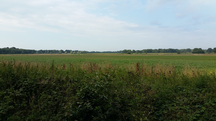 Westerwoldepad-Ommetje-7-1 Sellingen tijdens wandeling over Ommetje over Westerwoldepad