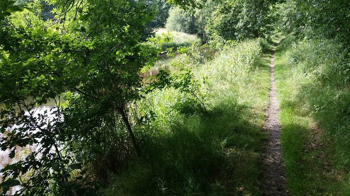 Westerwoldepad-Sellingen-Ter-Apel-2 Pad langs Ruiten Aa in wandeling over Westerwoldepad van Sellingen naar Ter Apel