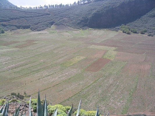 Kraterwandeling van San Bartolome naar Montana las Tierras tijdens een wandelvakantie op Canarisch Eiland Gran Canaria