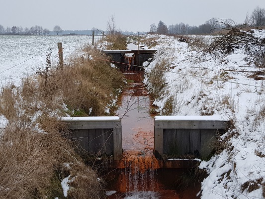Kwelwater sloten tijdens IVN-wandeling Over Peelrandbreuk en wijstgronden in Uden