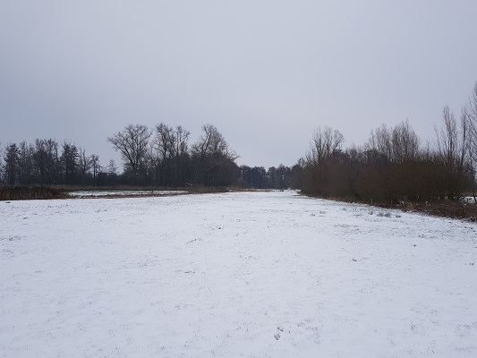 Zicht op Sint Annabos tijdens IVN-wandeling Over Peelrandbreuk en wijstgronden in Uden