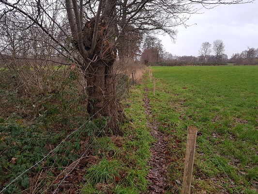Graspad De Hoeven tijdens wandeling over Klompenpad Breukerengpad in Bennekom