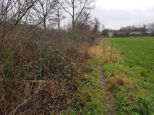 Graspad De Hoeven tijdens wandeling over Klompenpad Breukerengpad in Bennekom