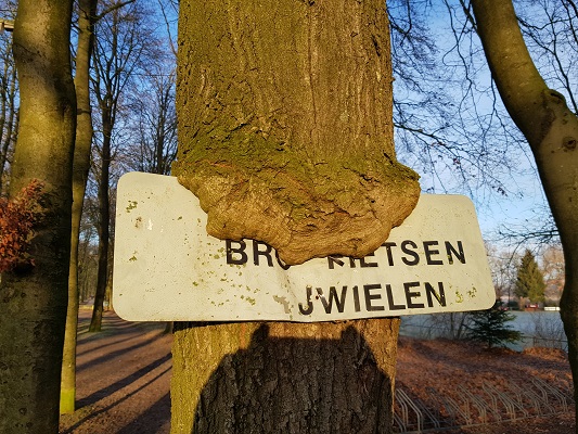 Klompenpad-Molenbeeksepad-1 Bordje 'Bromfietsen' Duitse Kampweg Wolfheze op een wandeling over Klompenpad Molenbeeksepad bij Wolfheze