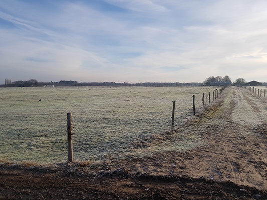 Klompenpad-Molenbeeksepad-10 Renkumse Heide op een wandeling over Klompenpad Molenbeeksepad bij Renkum