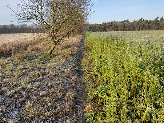 Klompenpad-Molenbeeksepad-12 Quadenoord op een wandeling over Klompenpad Molenbeeksepad bij Renkum
